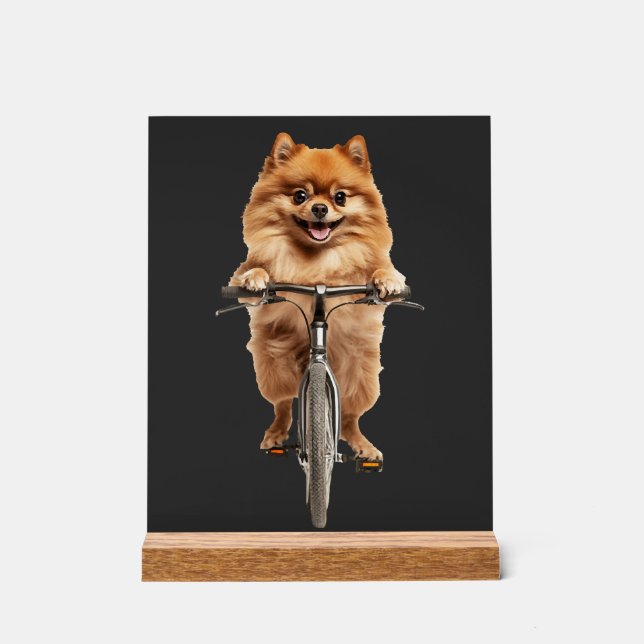 Señal Acrílica Pomerania (Anverso)