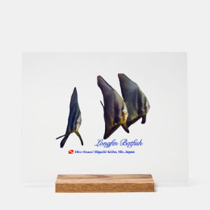 Señal Acrílica Posavasos de bebida de Thee Cute Longfin Batfish
