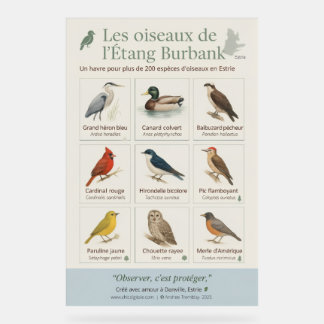 Señal Acrílica Poster éducatif – Les oiseaux de l’Étang Burbank (