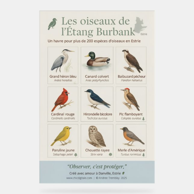 Señal Acrílica Poster éducatif – Les oiseaux de l’Étang Burbank ( (Anverso)