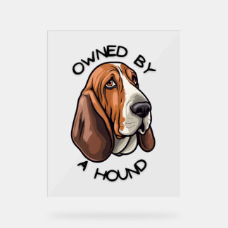 Señal Acrílica Propiedad de alguien de Basset Hound