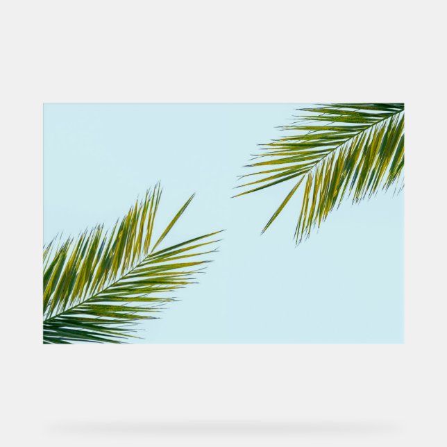 Señal Acrílica Rama de palmera (Anverso)