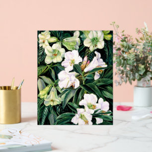 Señal Acrílica Rhododendros del norte de India