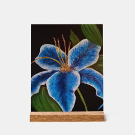 Señal Acrílica Rótulo acrílico