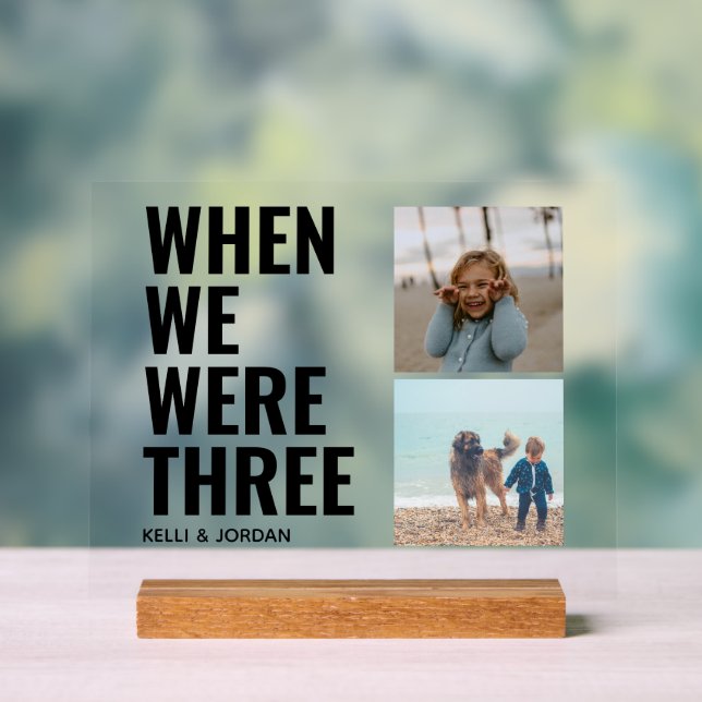 Señal Acrílica Rótulo acrílico Boda de fotos en la infancia (Neutral )