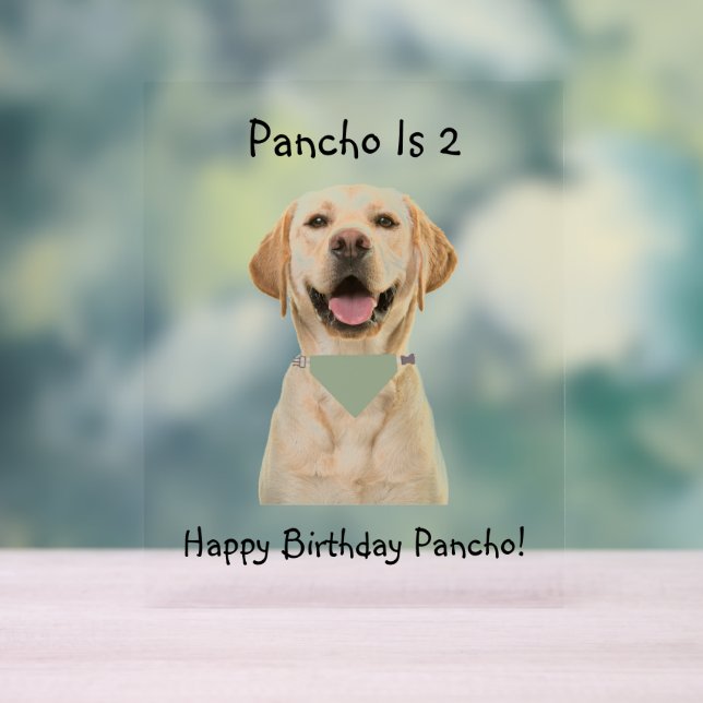 Señal Acrílica RÓTULO ACRÍLICO DE CUMPLEAÑOS mascota (Neutral )