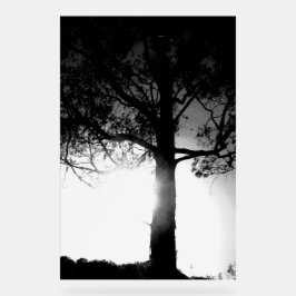 SEÑAL ACRÍLICA RÓTULO ACRÍLICO GUAY ESTILO DE DISEÑO ECO