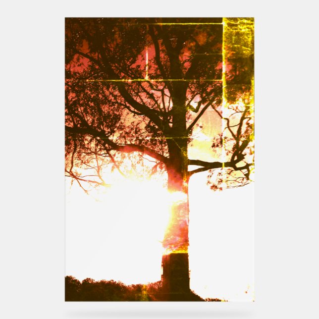 SEÑAL ACRÍLICA RÓTULO ACRÍLICO GUAY ESTILO DE DISEÑO ECO (Anverso)