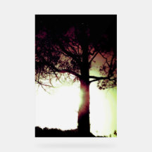 RÓTULO ACRÍLICO GUAY ESTILO DE DISEÑO ECO