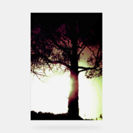 SEÑAL ACRÍLICA RÓTULO ACRÍLICO GUAY ESTILO DE DISEÑO ECO