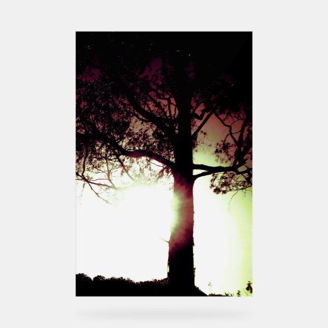 SEÑAL ACRÍLICA RÓTULO ACRÍLICO GUAY ESTILO DE DISEÑO ECO (Anverso)