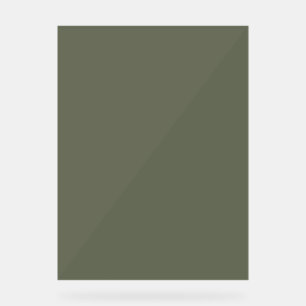 Señal Acrílica Rótulo Acrílico Verde Moss - Base de Personalizabl