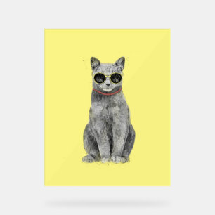 Señal Acrílica Saludo