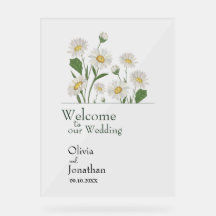 Sencillo Jardín Silvestre Daisy