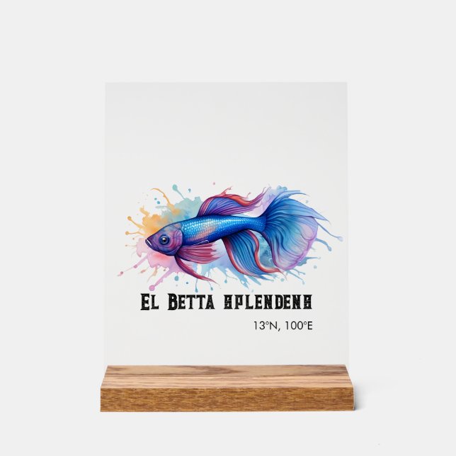 Señal Acrílica Serie de Acuarela: Pez Betta (Anverso)