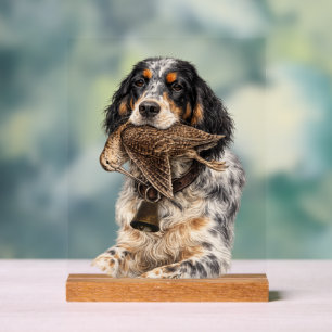 Señal Acrílica Setter Inglés, Caza de Chocha ,Arte de Perro