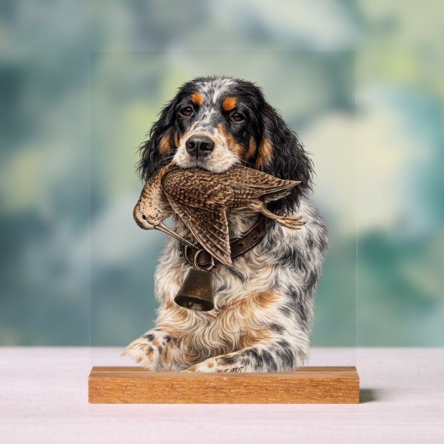 Señal Acrílica Setter Inglés, Caza de Chocha ,Arte de Perro (Neutral )