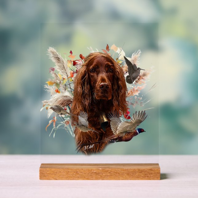 Señal Acrílica Setter Irlandés (Neutral )