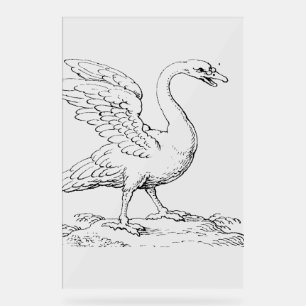 Señal Acrílica Símbolo de cisne de amor y fidelidad Arte refinado