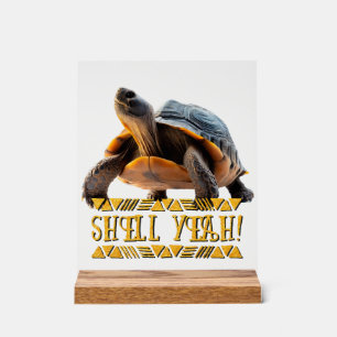 Señal Acrílica Tortuga 001 Concha ¡Sí!