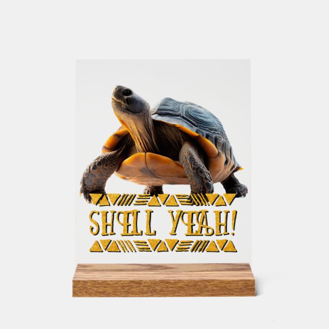 Señal Acrílica Tortuga 001 Concha ¡Sí! (Anverso)