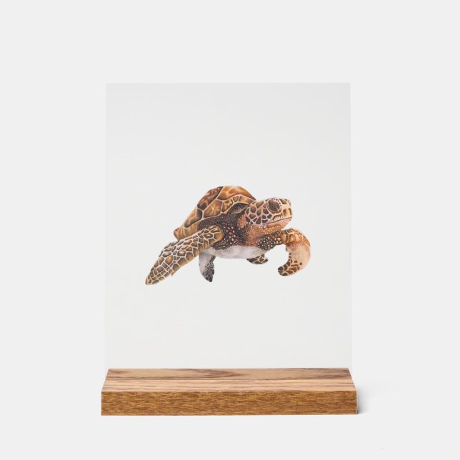 Señal Acrílica Tortuga Copiar Copiar Copiar Copiar Copiar Copiar  (Anverso)