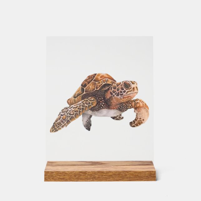 Señal Acrílica Tortuga Copiar Copiar Copiar Copiar Copiar Copiar  (Anverso)