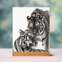 Touch - Pintura de tigre original a mano