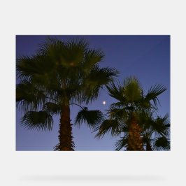 Señal Acrílica Tropical Palm Tree Wall Art Twilight Coastal