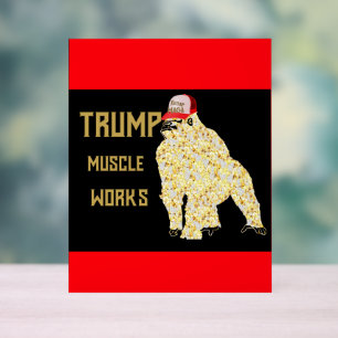SEÑAL ACRÍLICA TRUMP