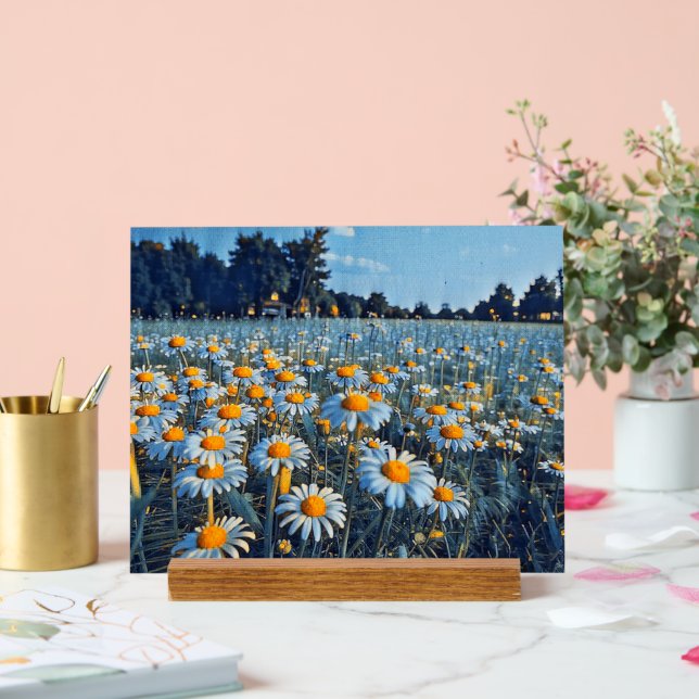 Señal Acrílica Un campo lleno de camiles en flor (Boda)