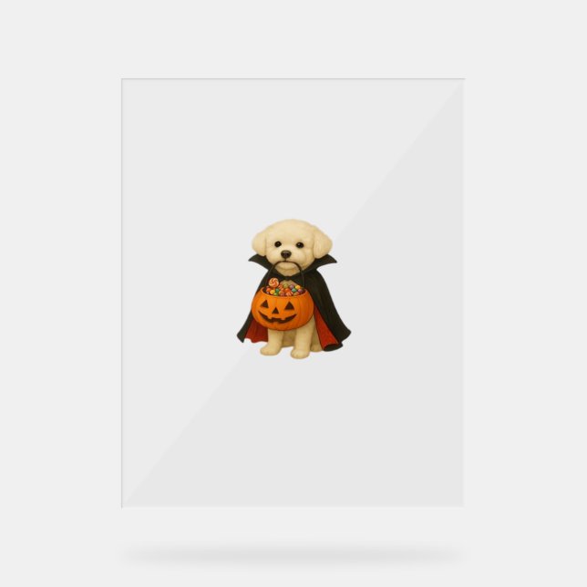 Señal Acrílica Vampiro de Bichon Frisé Halloween con calabaza (Anverso)