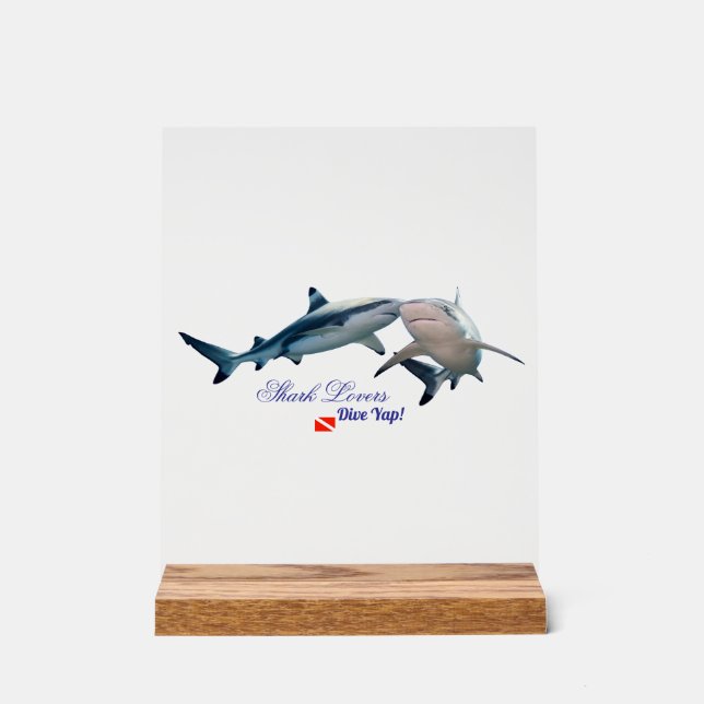Señal Acrílica Vaso de tiburones lindos (Anverso)