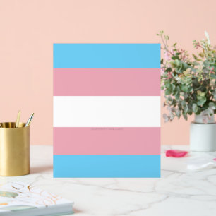 Señal Acrílica Visibilidad de la bandera del orgullo transgénero