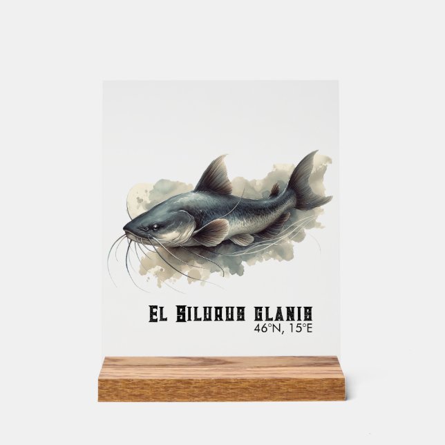 Señal Acrílica Watercolor Series: Catfish (Anverso)