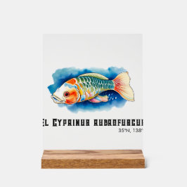 Señal Acrílica Watercolor Series: Koi Fish