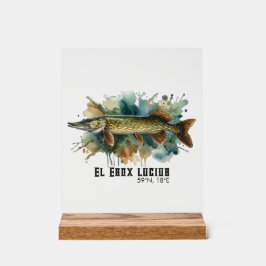 Señal Acrílica Watercolor Series: Pike