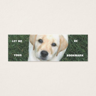 Señal amarilla del labrador retriever
