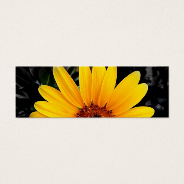 Señal bonita del girasol (Frente)