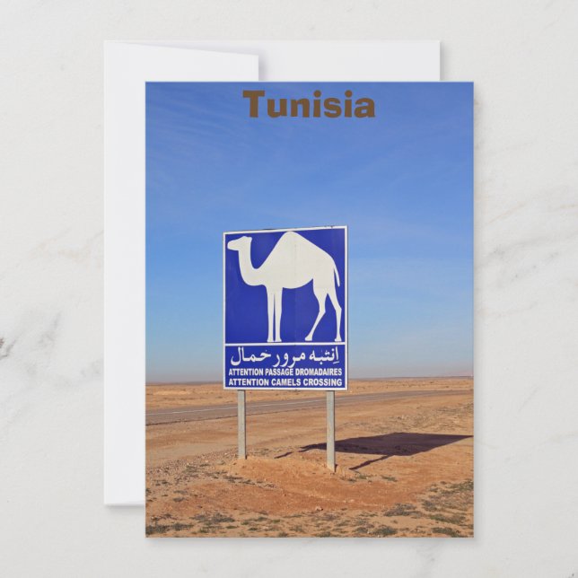 Señal de camellos, Túnez, tarjeta (Anverso)