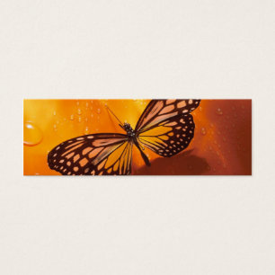 Señal de la mariposa