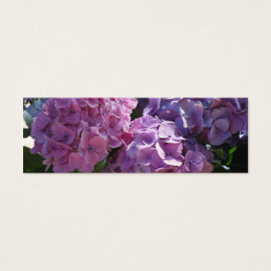 señal de los hydrangeas