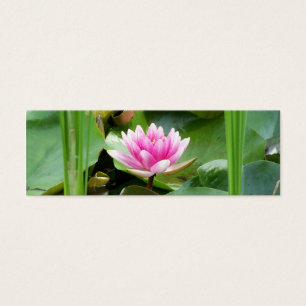 Señal de Lotus