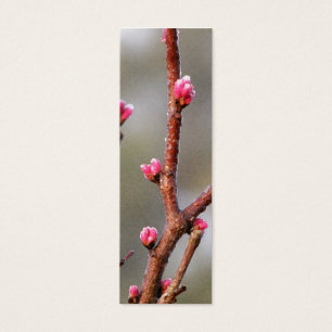 Señal de Redbud - perfil flaco