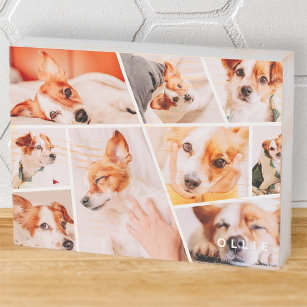 Señal Decorativa De Madera Collage de fotos de mascotas modernos y simples Pe