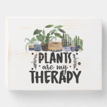Las Plantas Botánicas Mínimas Son Mi Terapia