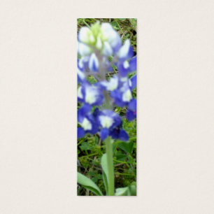 Señal del Bluebonnet