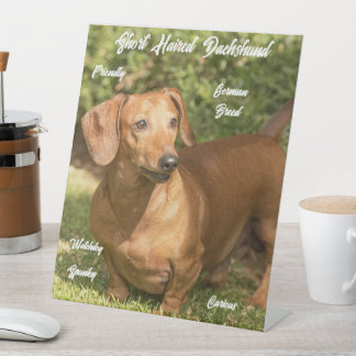 Señal Pestastal de Dachshund Rojo Pelocorto Adorab