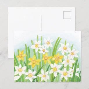 Señales de Daffodils de la postal de primavera