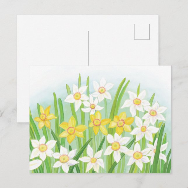 Señales de Daffodils de la postal de primavera (Anverso / Reverso)